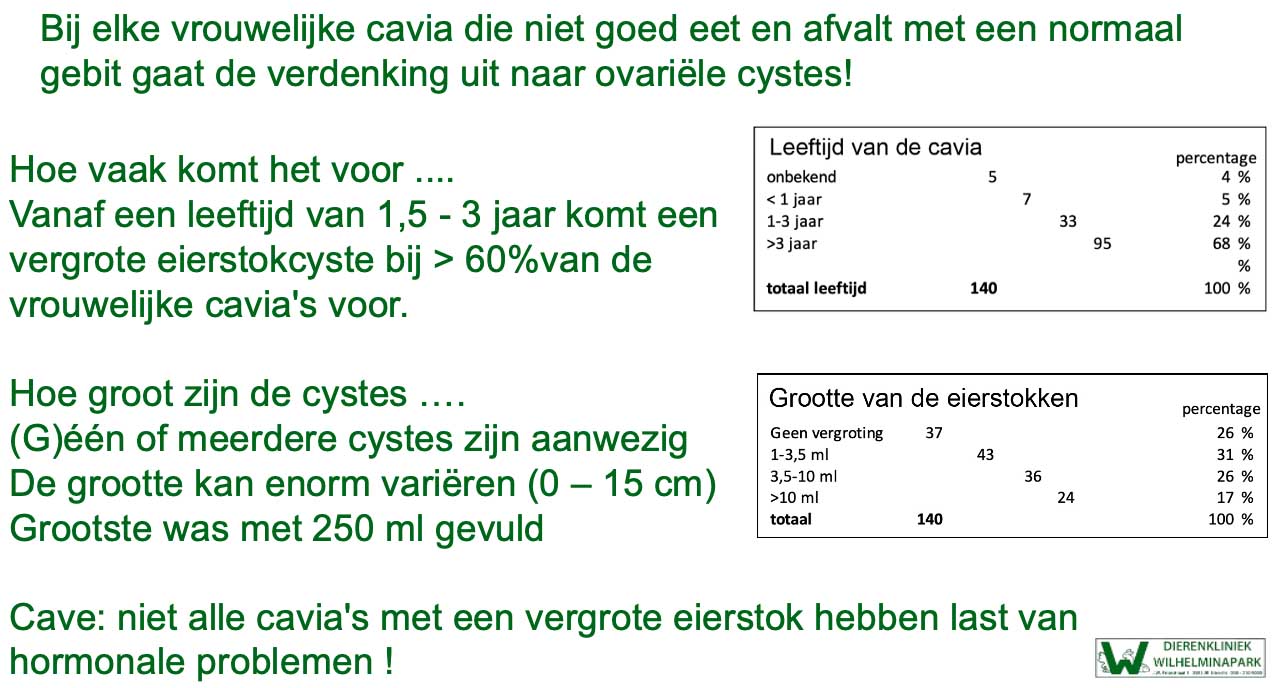 Wat hebben we bij 140 cavia's met cysteuze ovaria gezien.